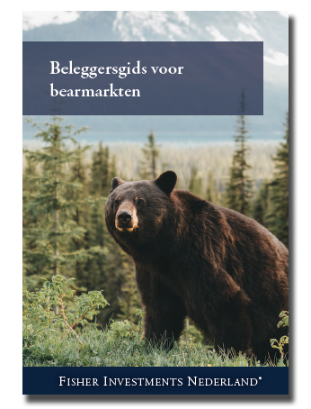 Beleggersgids voor bearmarkten